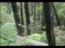 gorkAustralia part.1