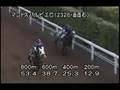 videos de [調教] 080723 マコトスバルピエロ 「関越ステークス」前追い切り
