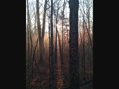 Sunrize -
