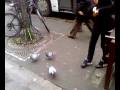 videos de Video-0005.mp4
