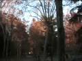 videos de Parcheggio dell Acquasola