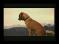 Pedigree - We\ Pedigree - We\