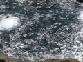 Kiama Blowhole