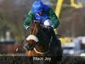 Great Racehorses that have passed away Great Racehorses that have passed away