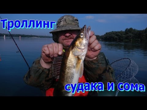 троллинг щуки секреты троллинг щуки секреты