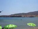 andros sailing competition