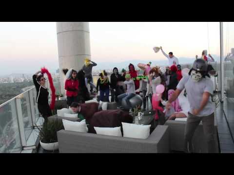 10 meilleures parodies du Harlem Shake 0 10 meilleures parodies du Harlem Shake
