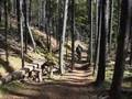 biking in alberta