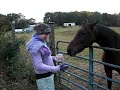 Elissa Feeds a Horse an Apple Elissa Feeds a Horse an Apple