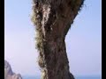 ISLAS CIES ISLAS CIES