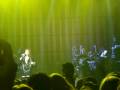 videos de Katy Garbi - Ierosilia - Enastron Live