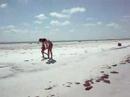 3 Rooker Island