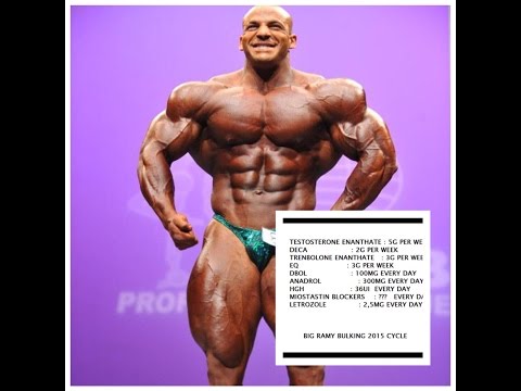 how to properly cycle steroids