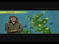 Chewin The Fat - Weather Report