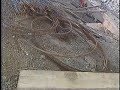 I-280 Reopens (1993)