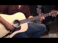 Walden Natura Series D710 dreadnought acoustic