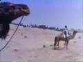 10b The Berbers: Masters of the Sahara (continued)