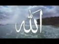 الشيخ ياسين التهامي    فيديو * رأيت  ربي * حصريا