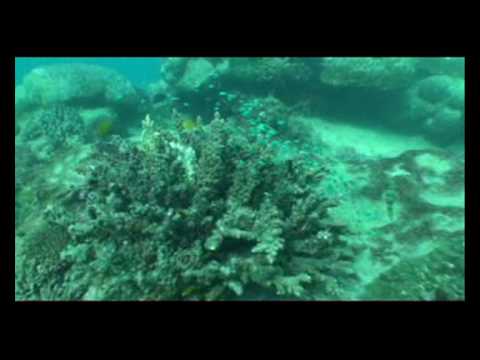 Image de prévisualisation YouTube