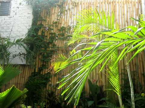 Video of Aluna Casa y Cafe