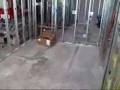 Tempe, Arizona Langauge School: construction pt 1