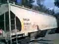 videos de ferrosur mexico