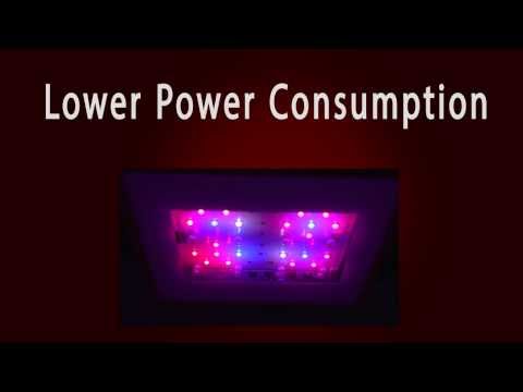 how to grow with mh lights