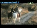 Carmelo Parrinelli - I primati del Regno delle Due Sicilie Carmelo Parrinelli - I primati del Regno delle Due Sicilie