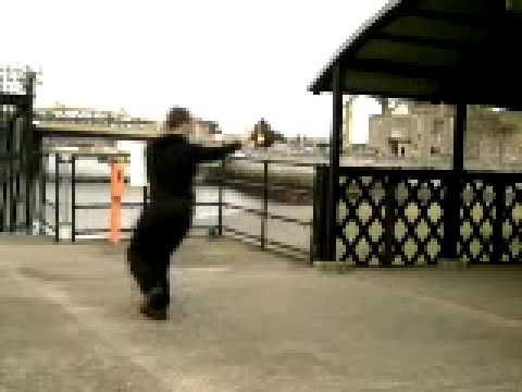 Baguazhang Single & Double Changes See video