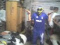 el varon de gallinovich