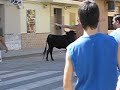 toros en paiporta