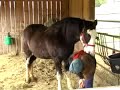 In the Barn with my Boyfriend