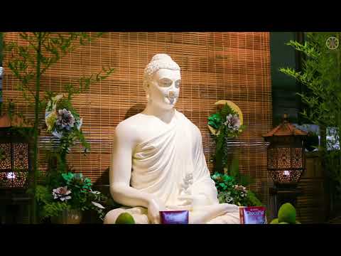 Tinh Hoa NIKAYA - Duyên Khởi Thánh Điển