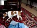 dit is floortje