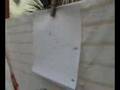 Airsoft Desert Eagle Barata 2!!!
