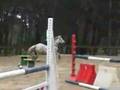 videos de CSO