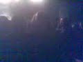 Al grande (en el concierto de salyer en Bilbao)