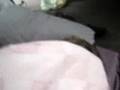 chris ball in face