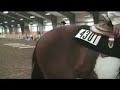 She Just Did It- Sale Video Pattern Work - Jessica Frater
