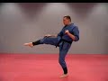 Rick Tew Front Snap Kick Rick Tew Front Snap Kick