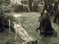 Alex Jones - Cremation of Care