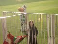 RACING-OSASUNA \"LA VACA QUE SE METIO LA UEFA POR EL CULO\"