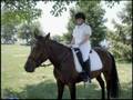 AboveParr Equestrian Advertisment