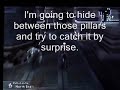 Final Fantasy XII - chasing the cockatrice in Rabanastre