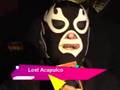 Lost acapulco-Bulbo