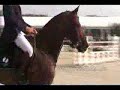Show Jumping 1 Show Jumping 1