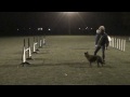 Agility KCH.mpg