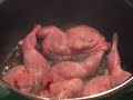 EL COCINERO FIEL L - Guiso (y curiosidad)