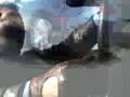 PS_Vette_JF_Box_S.mov
