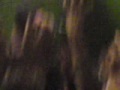 MOV00784.MP4
